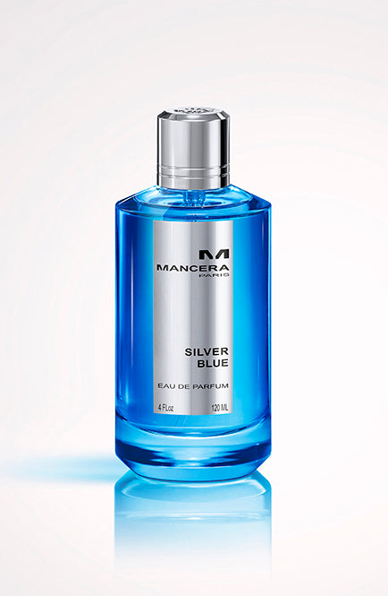 MCM Blue Silver MCM - Mode Creation Munich cologne - a