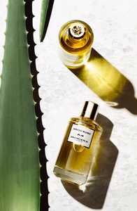 Mancera kush discount